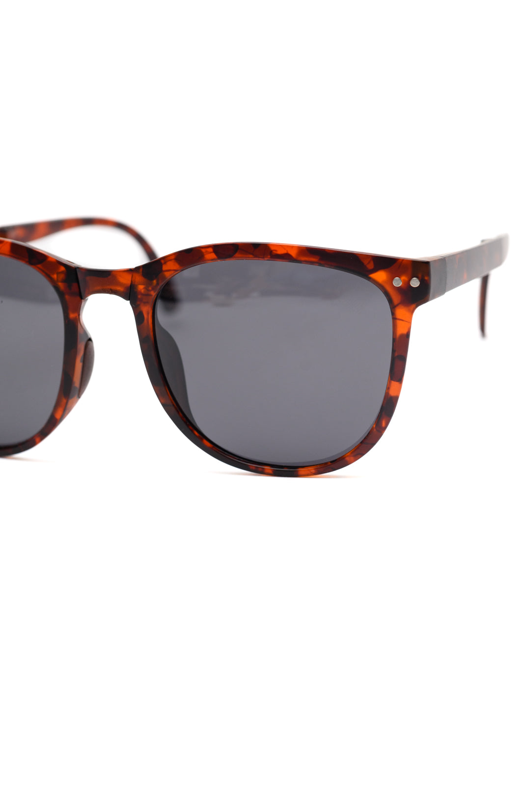 Collapsible Sunnies & Case in Tortoise Shell