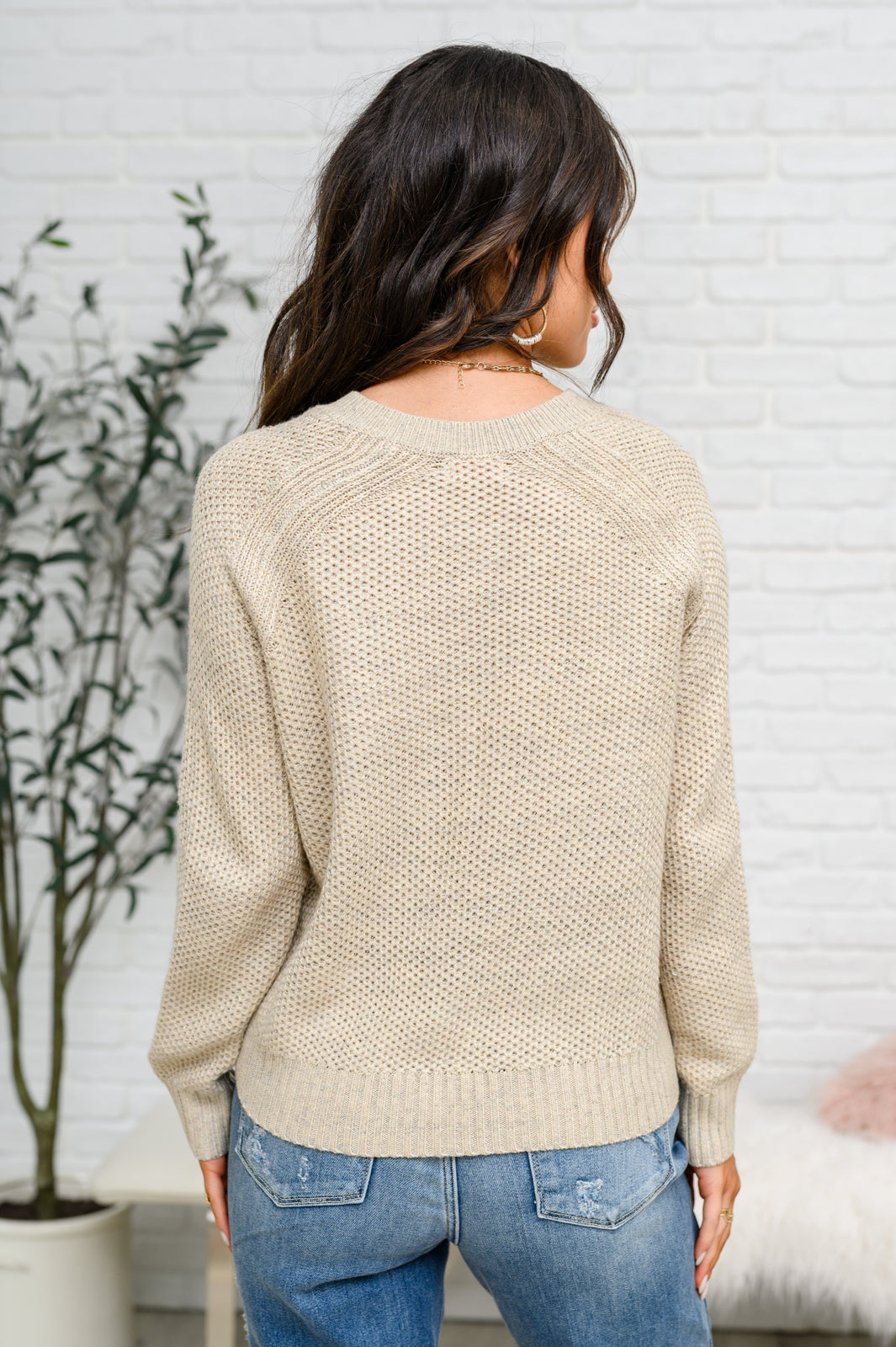 V-Neck Sweater in Oatmeal