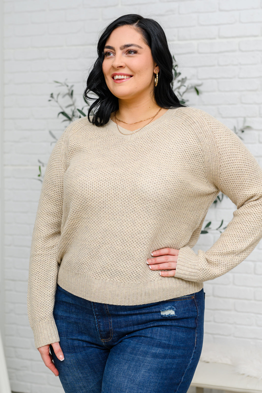 V-Neck Sweater in Oatmeal