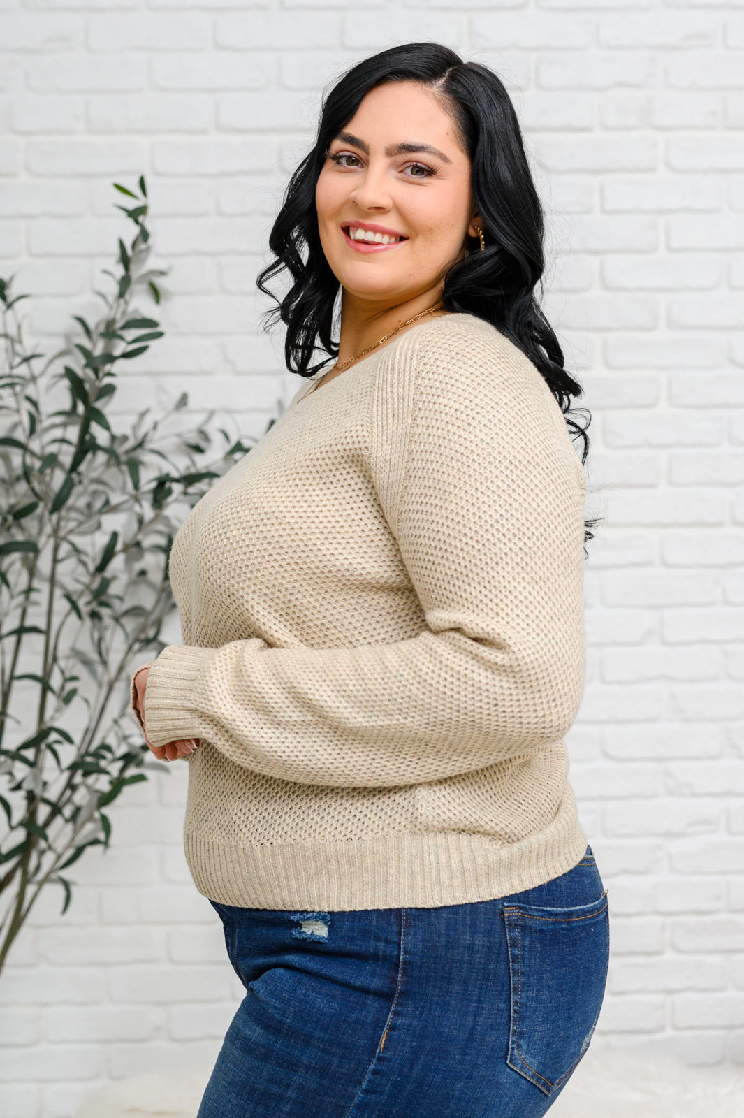 V-Neck Sweater in Oatmeal